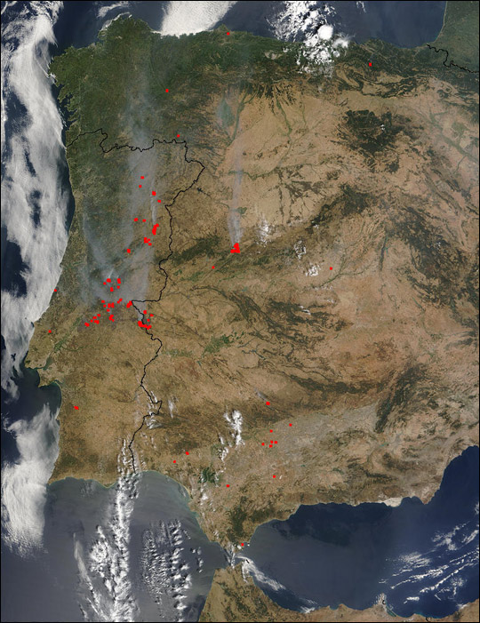 Forest Fires in Portugal