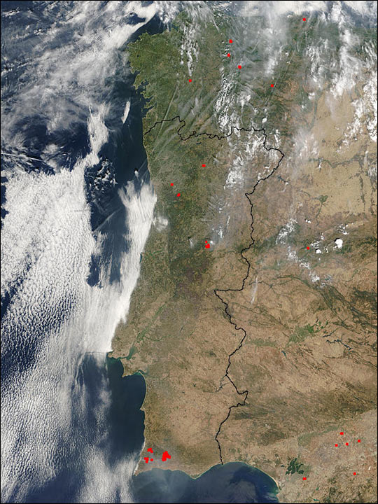 Forest Fires in Portugal