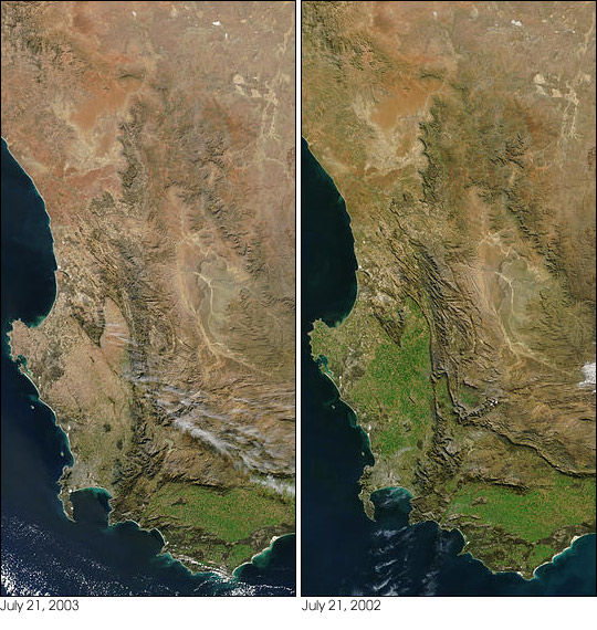 Drought in Western Cape, South Africa