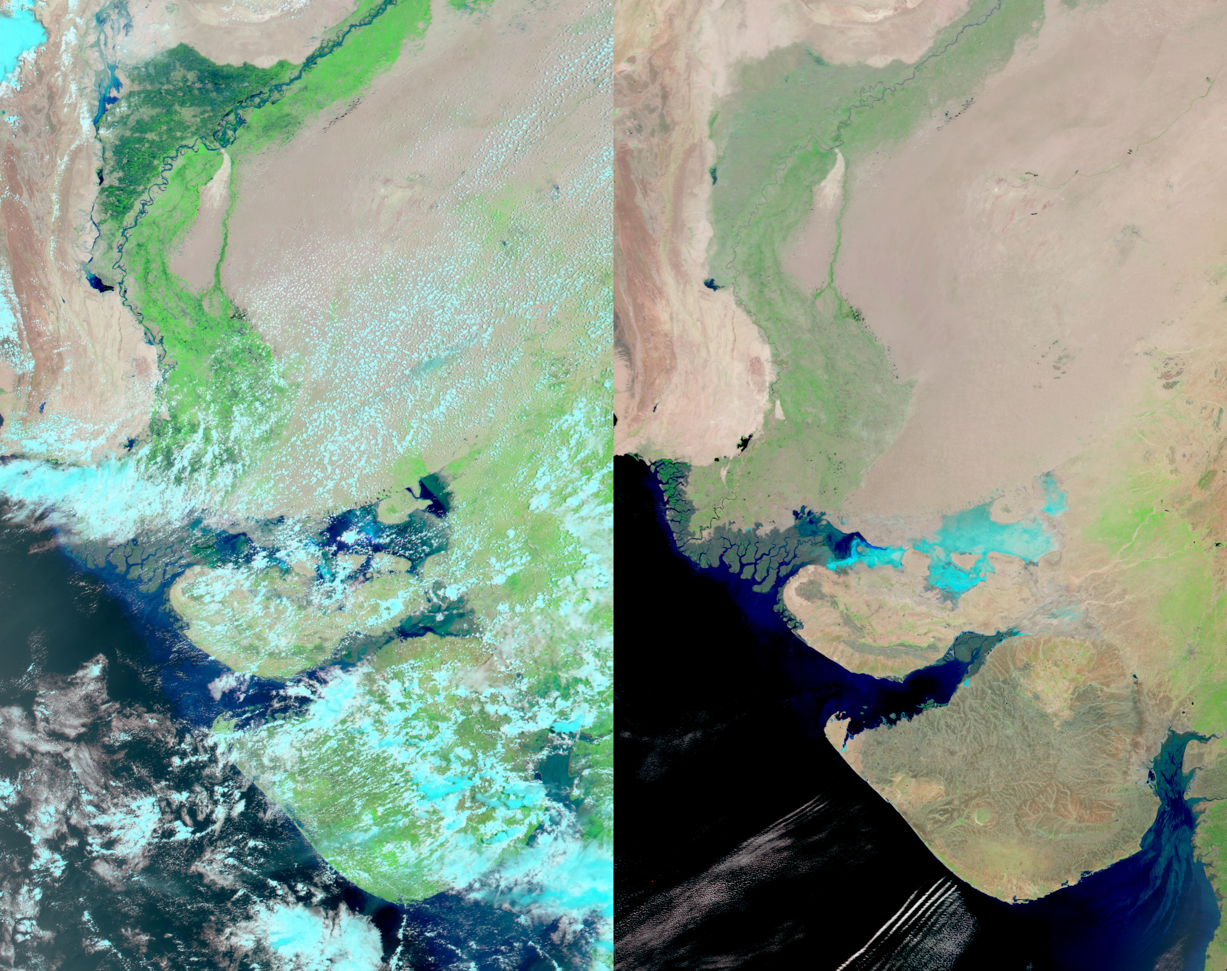 Floods in Pakistan and and India - related image preview