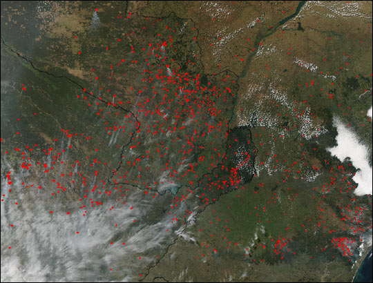 Fires in Brazil, Argentina, and Paraguay
