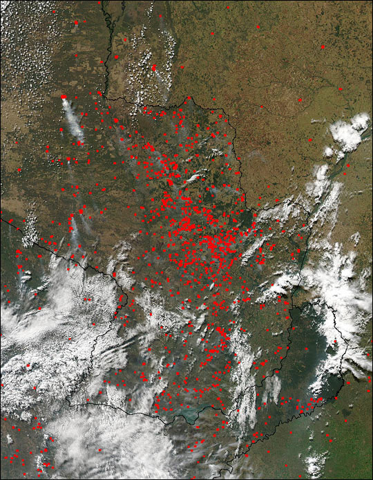 Fires in Brazil, Argentina, and Paraguay