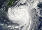 Typhoon Etau