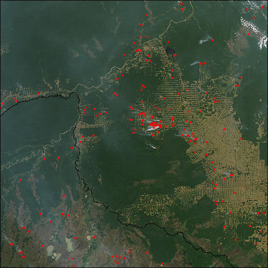 Fires in Brazil and Bolivia - related image preview