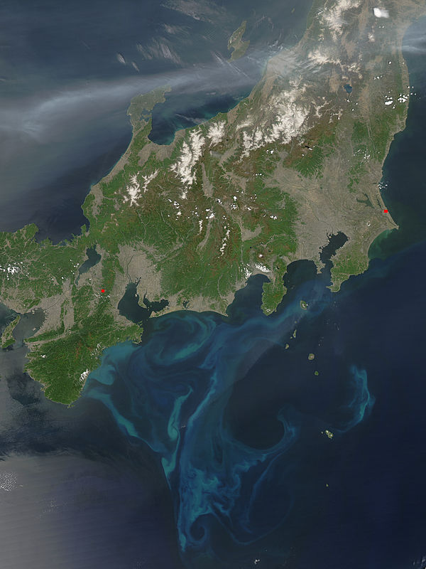 Phytoplankton bloom off Japan - related image preview