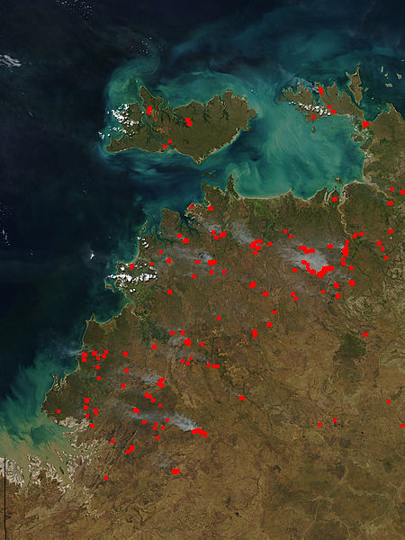 Fires in Northern Territory, Australia - related image preview