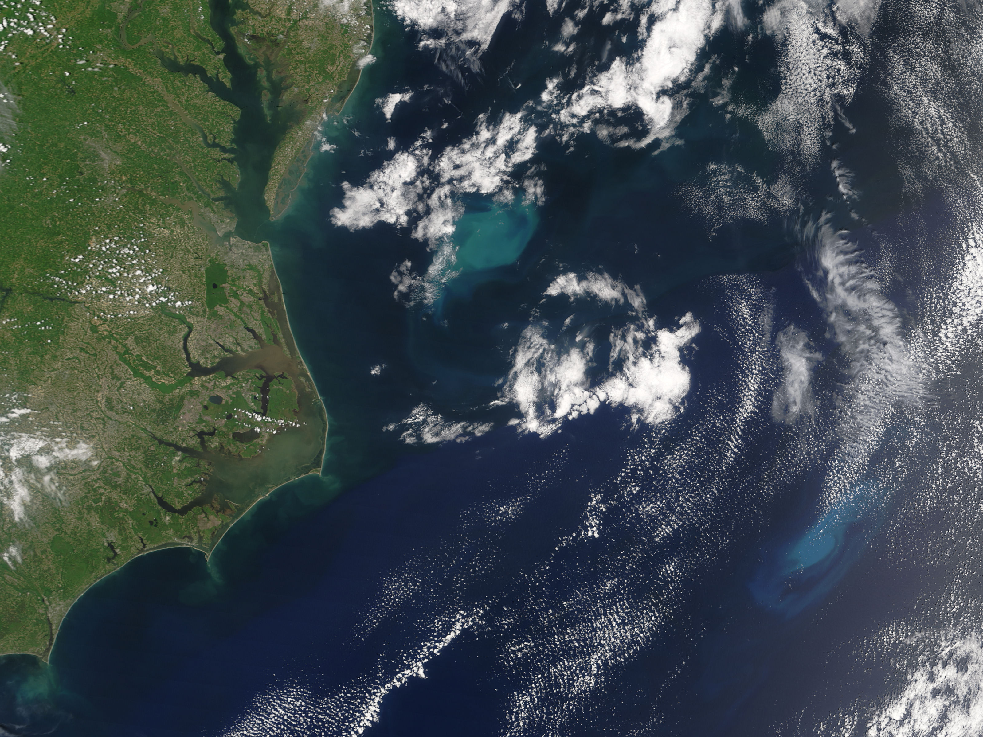 Phytoplankton blooms off eastern United States - related image preview