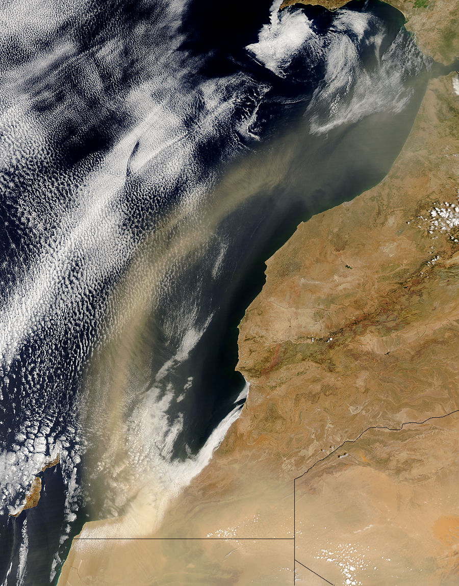 Dust storm off Morocco - related image preview