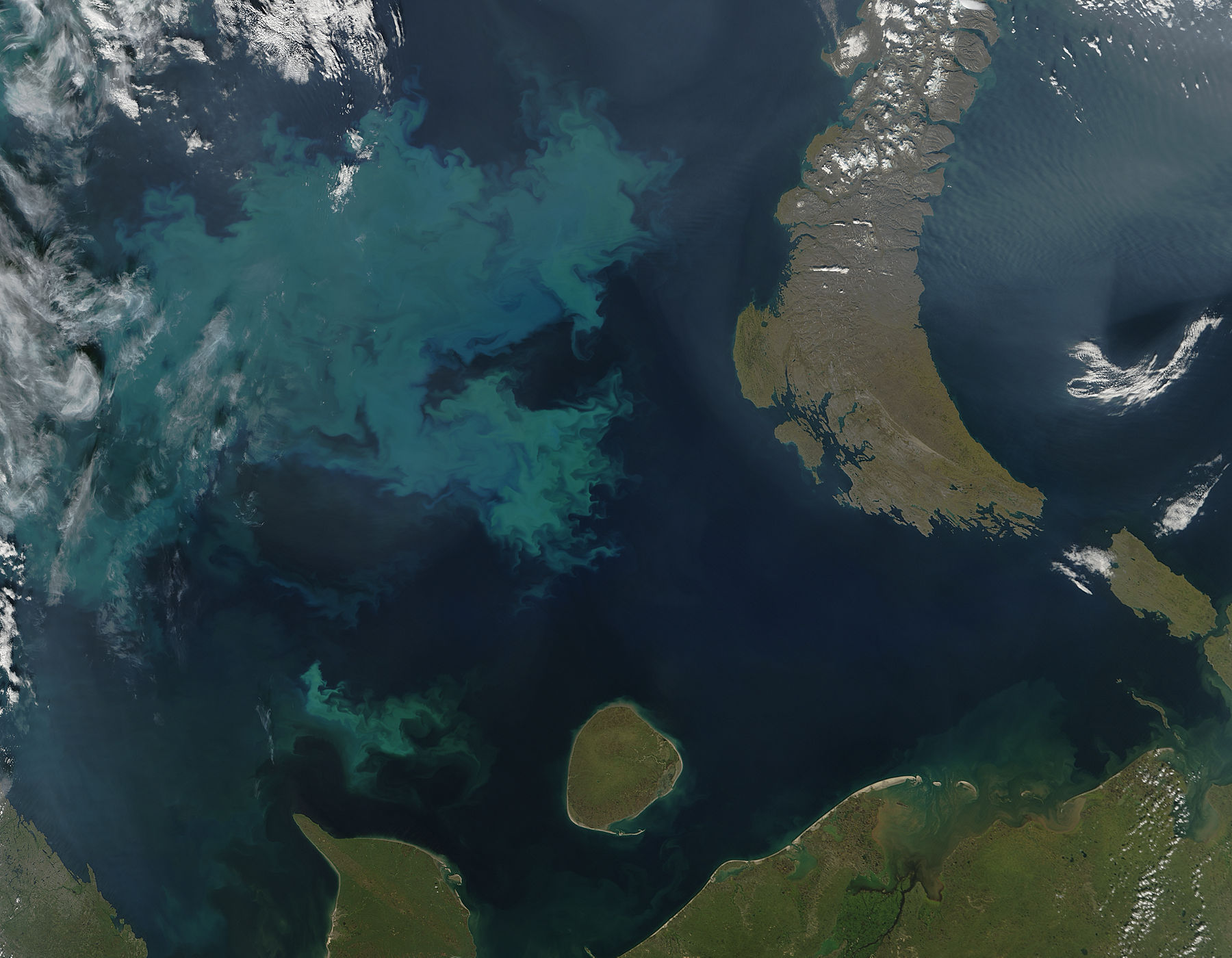 Phytoplankton bloom in the Barents Sea - related image preview