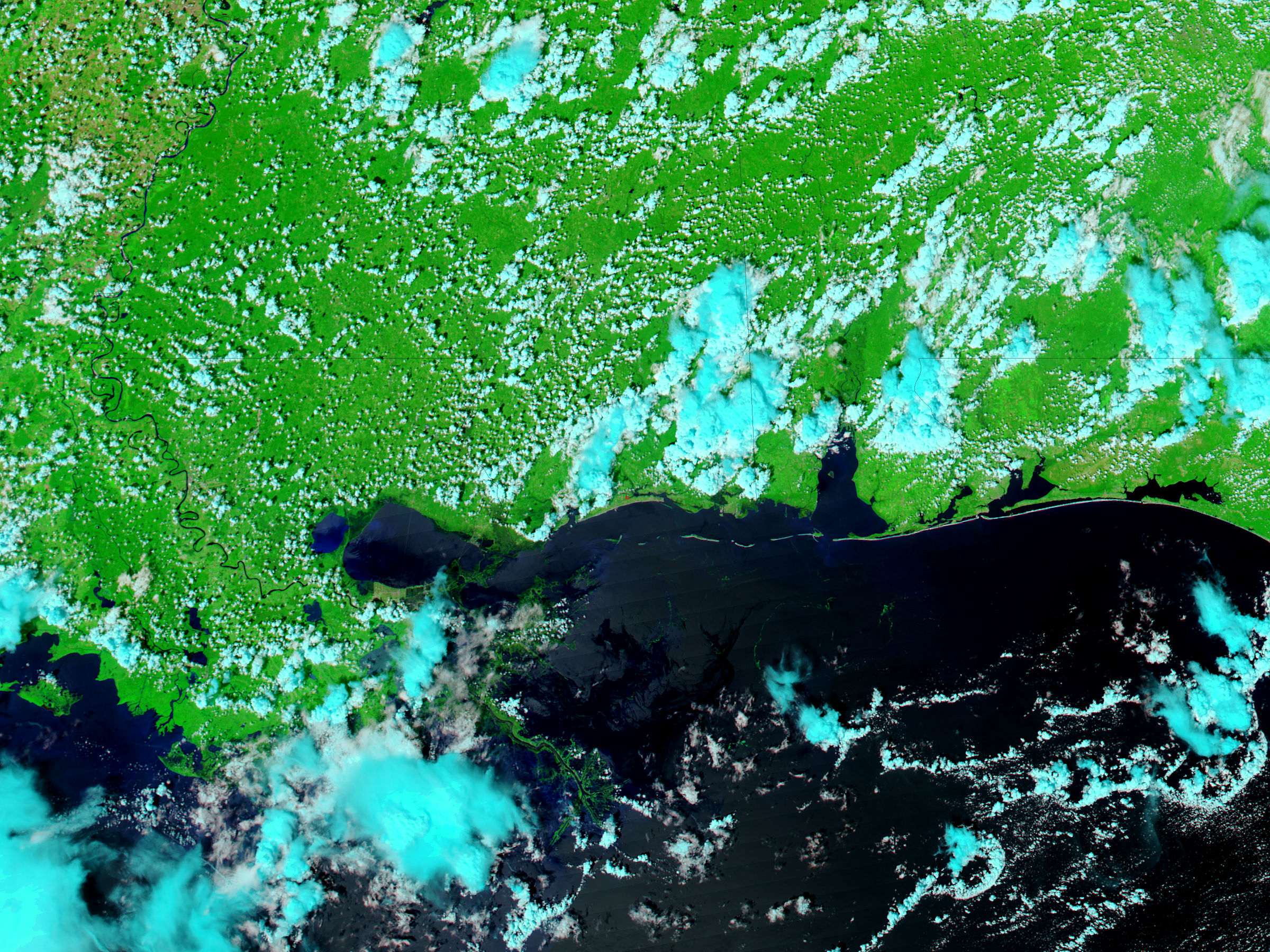 Floods along the Gulf Coast (false color) - related image preview