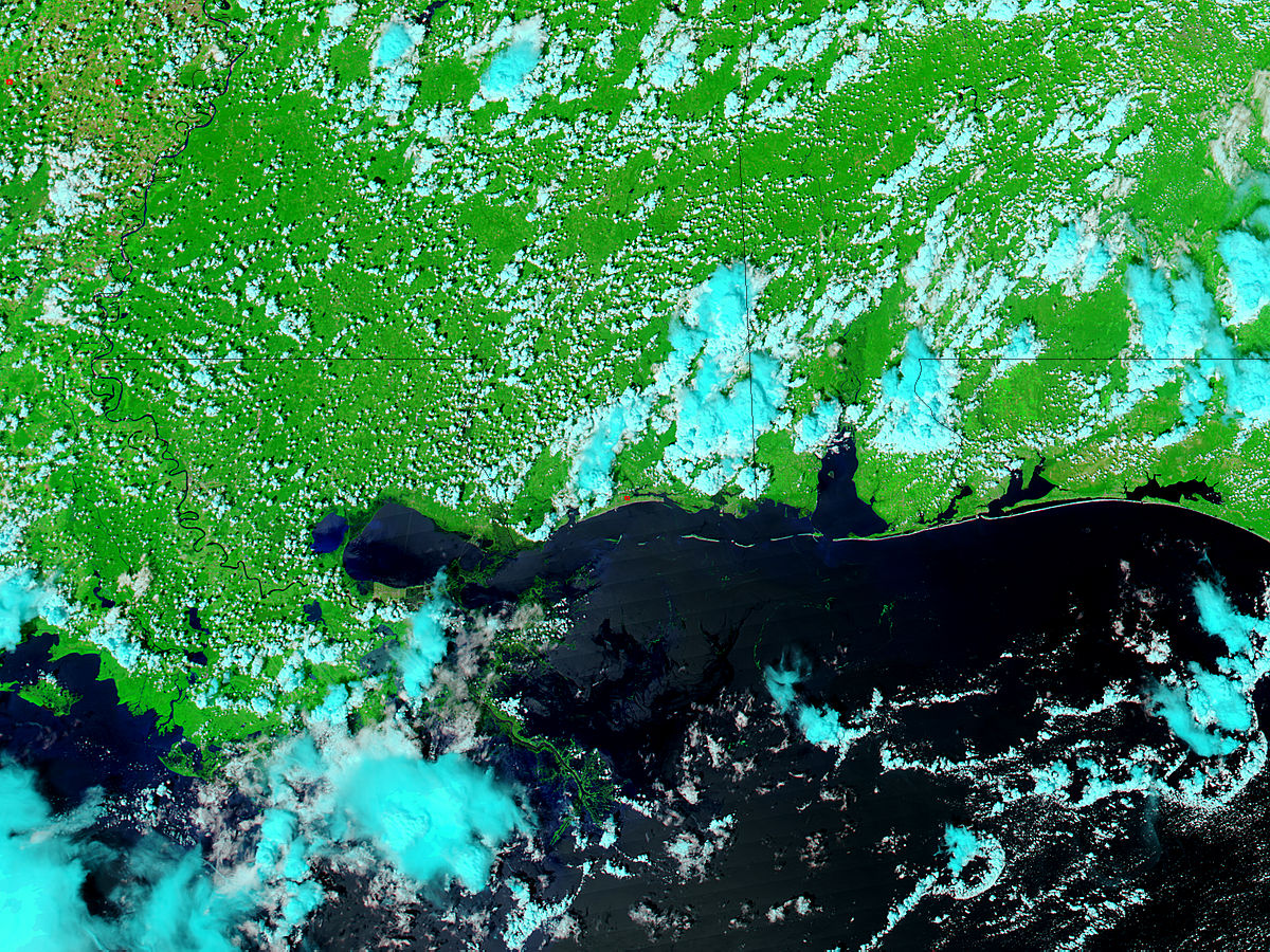 Floods along the Gulf Coast (false color) - related image preview