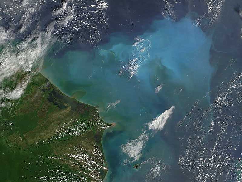 Resuspened bottom sediments off Honduras - related image preview