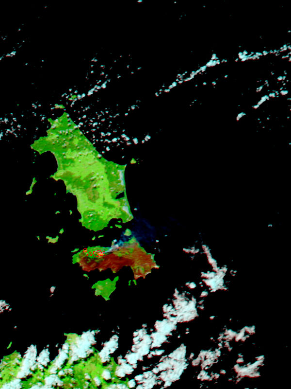 Fires and burn scars on Cape Barren Island, Australia (false color) - related image preview