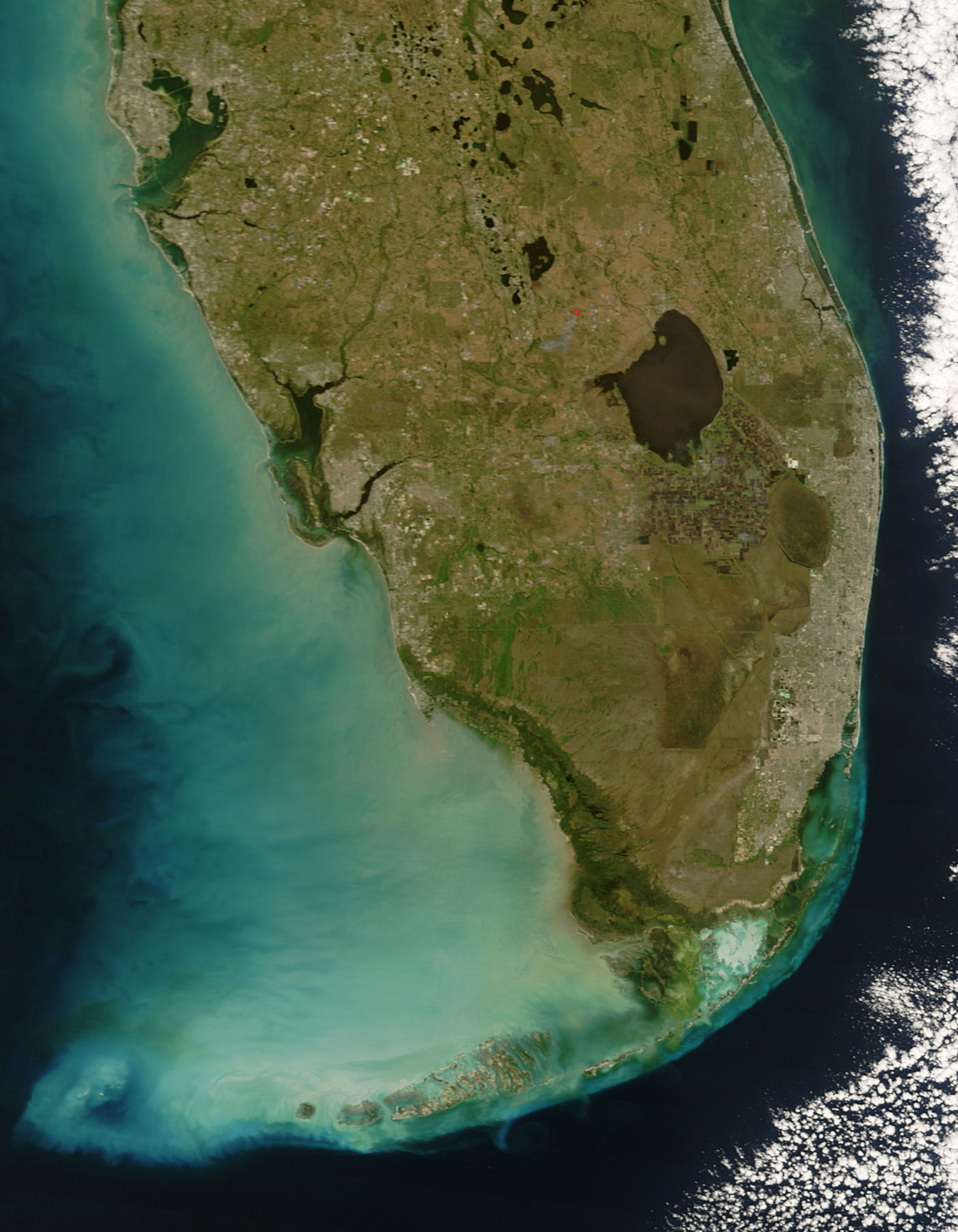 Burn scars from sugar cane harvest, southern Florida (true color)