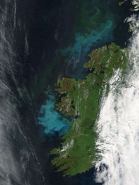 Phytoplankton blooms off Ireland - related image preview