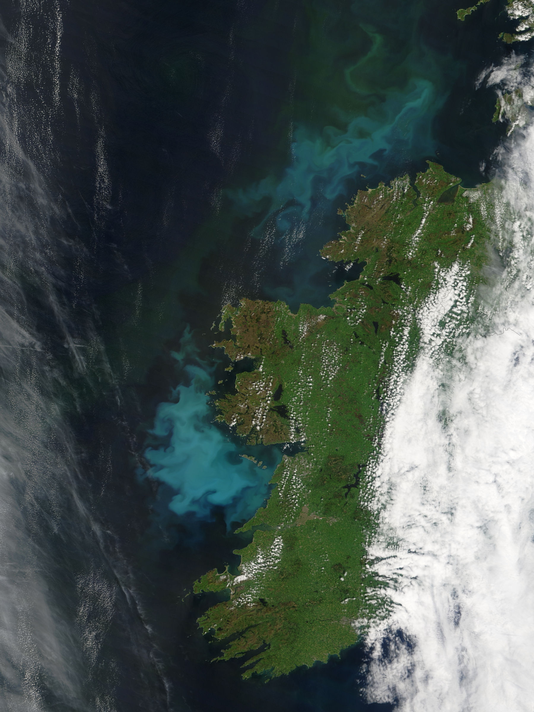 Phytoplankton blooms off Ireland - related image preview