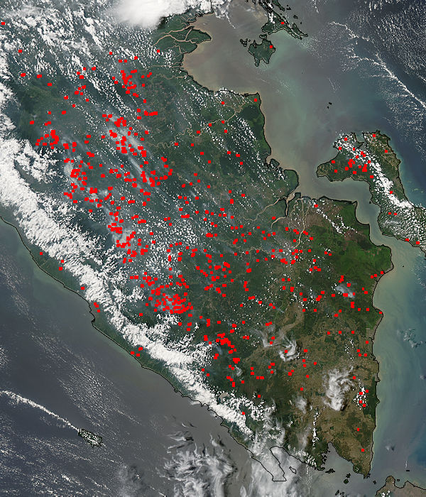 Fires and smoke on Sumatra, Indonesia - related image preview