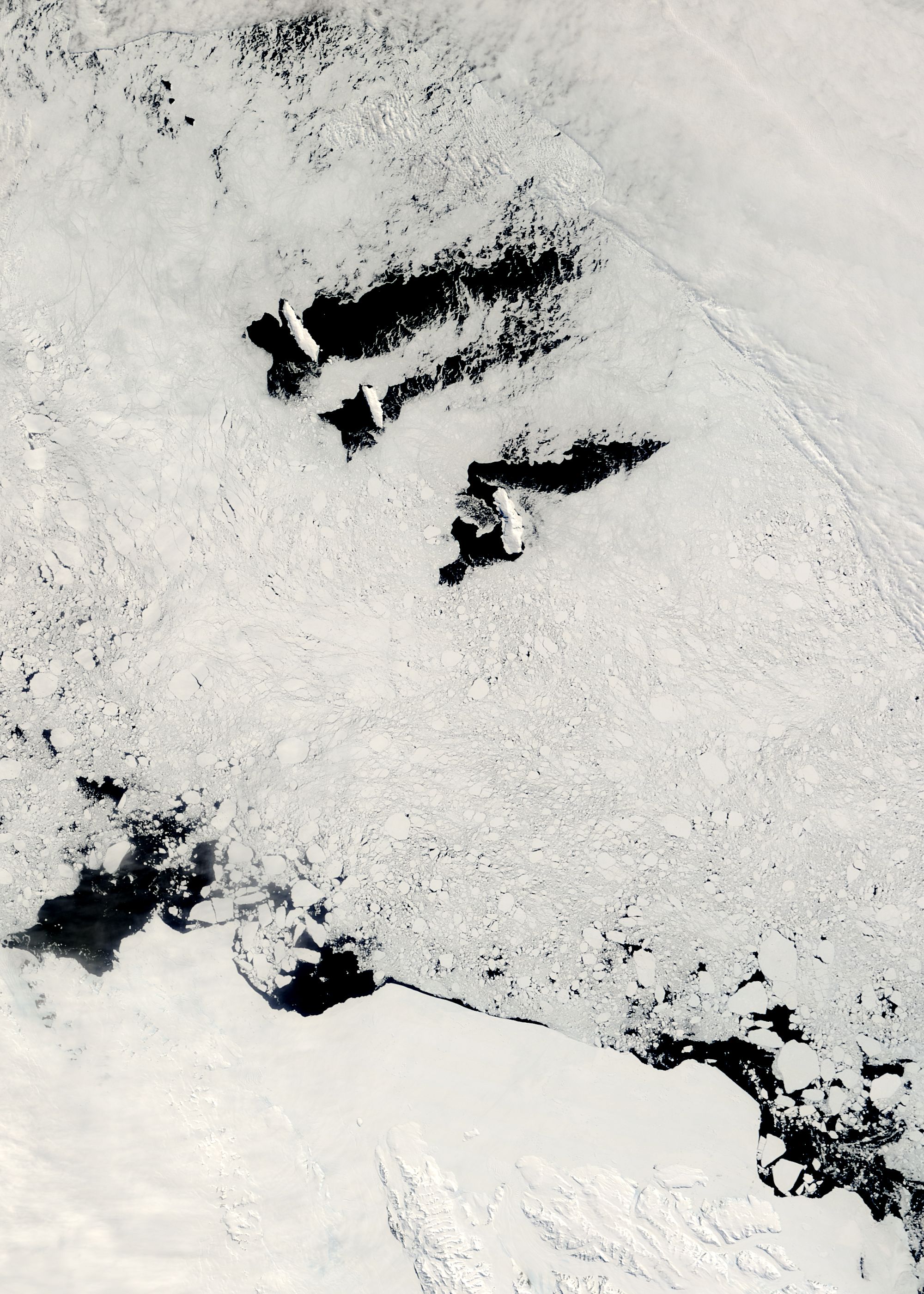 Balleny Islands, near Antarctica - related image preview