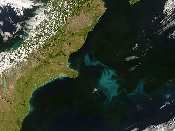 Phytoplankton bloom east of New Zealand - related image preview