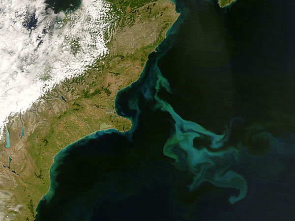 Phytoplankton bloom east of New Zealand - related image preview