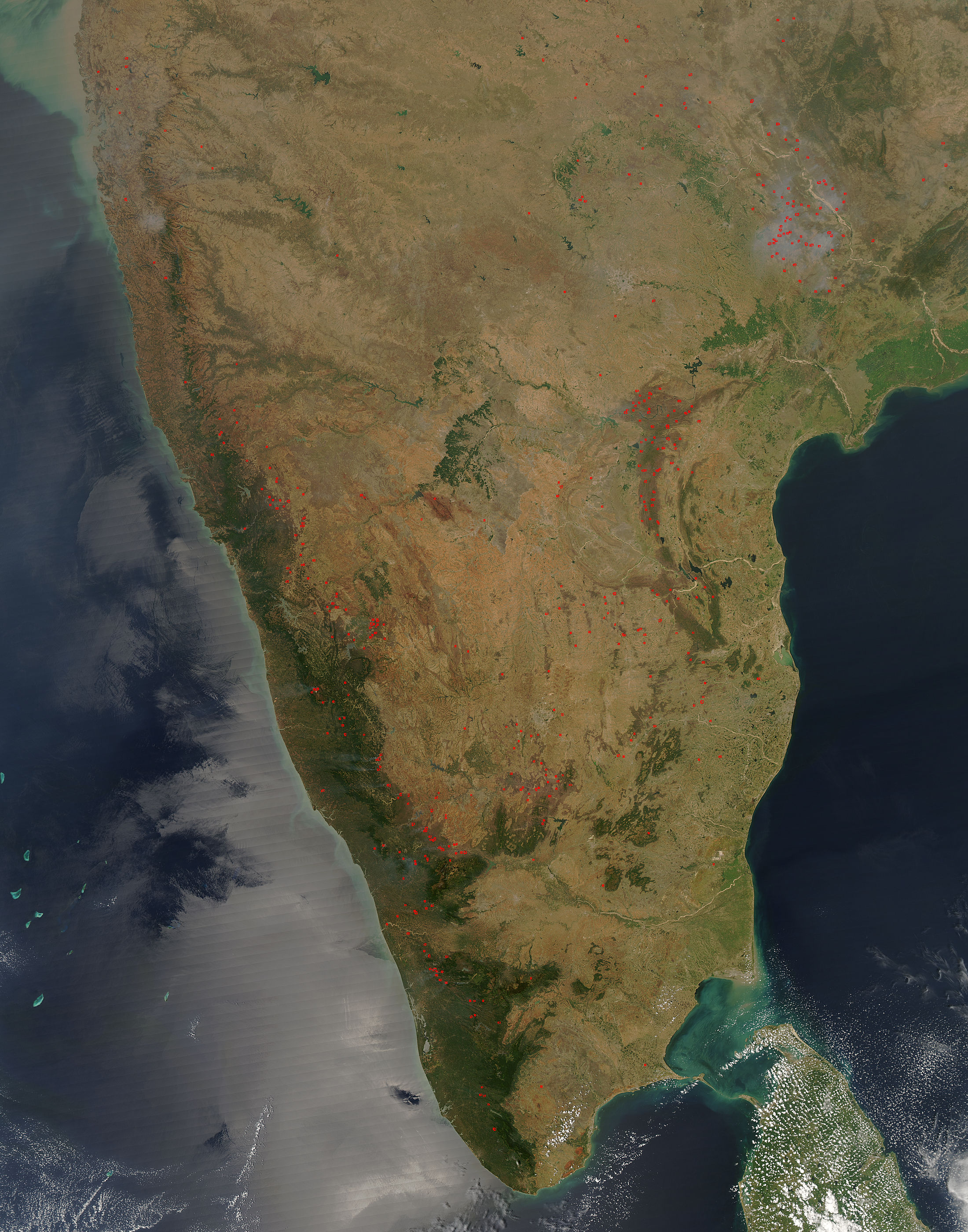 Fires in southern India - related image preview