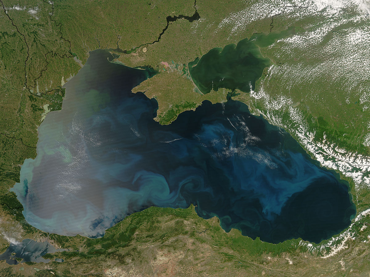 Phytoplankton bloom in the Black Sea - related image preview