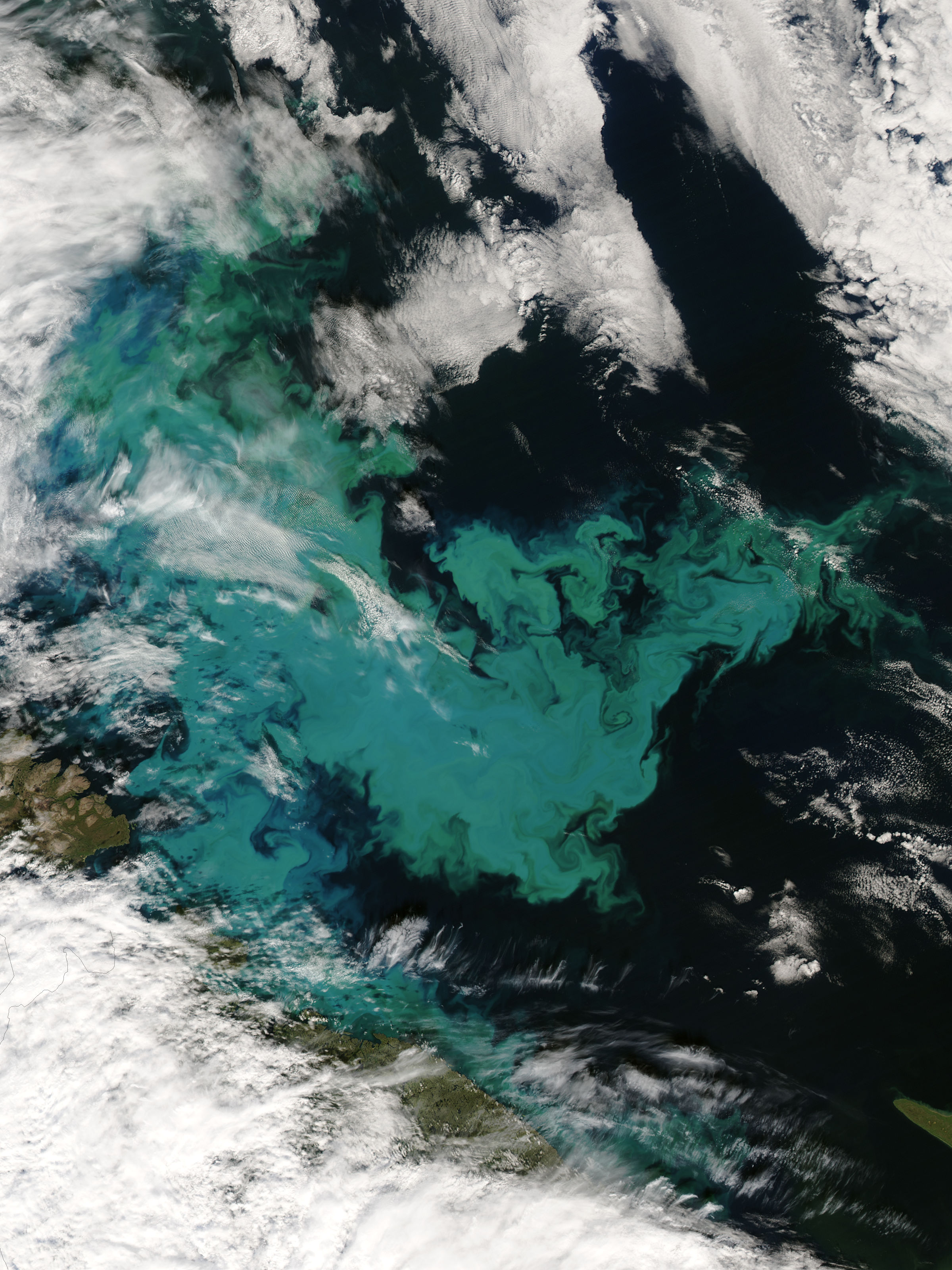 Phytoplankton bloom in the Barents Sea - related image preview