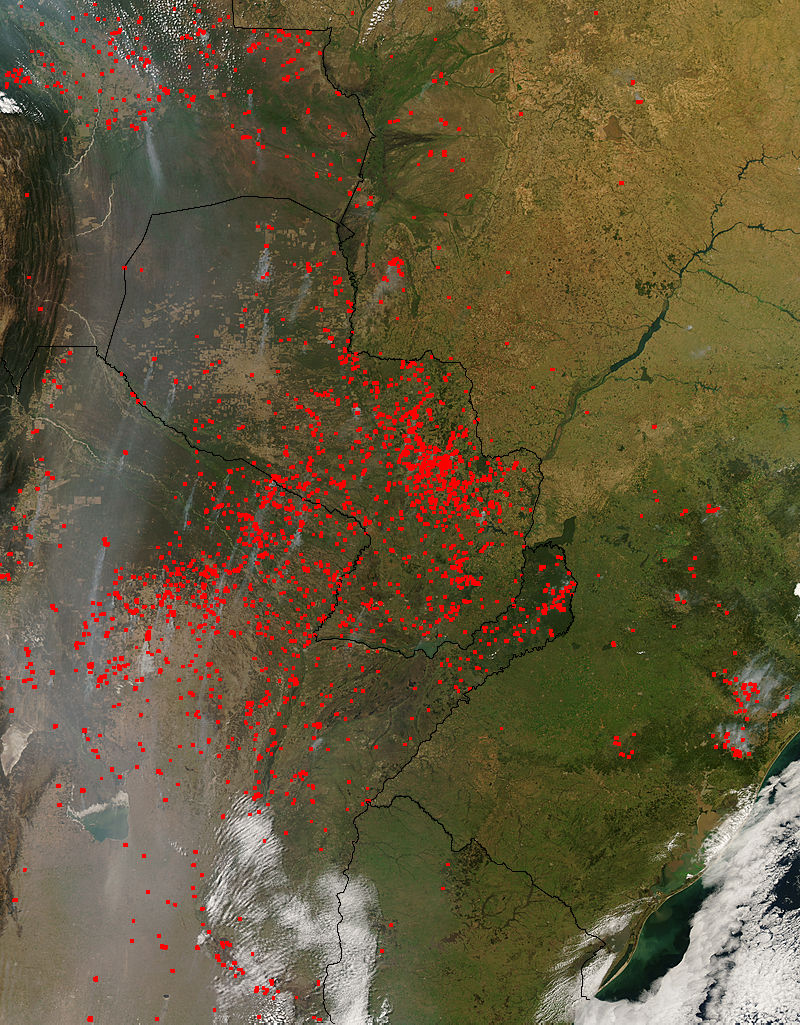 Fires in central South America - related image preview