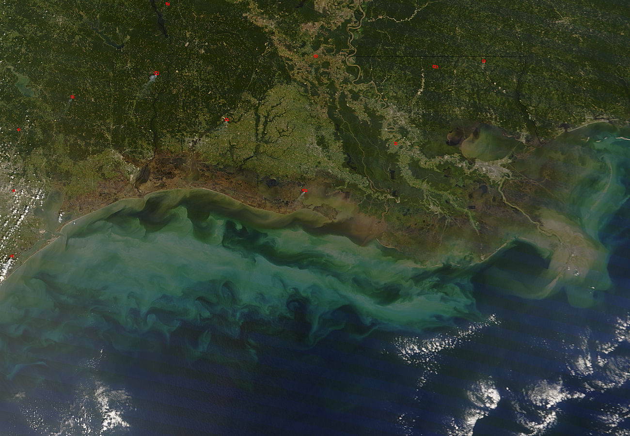 Sediment off the Louisiana and Texas coast - related image preview