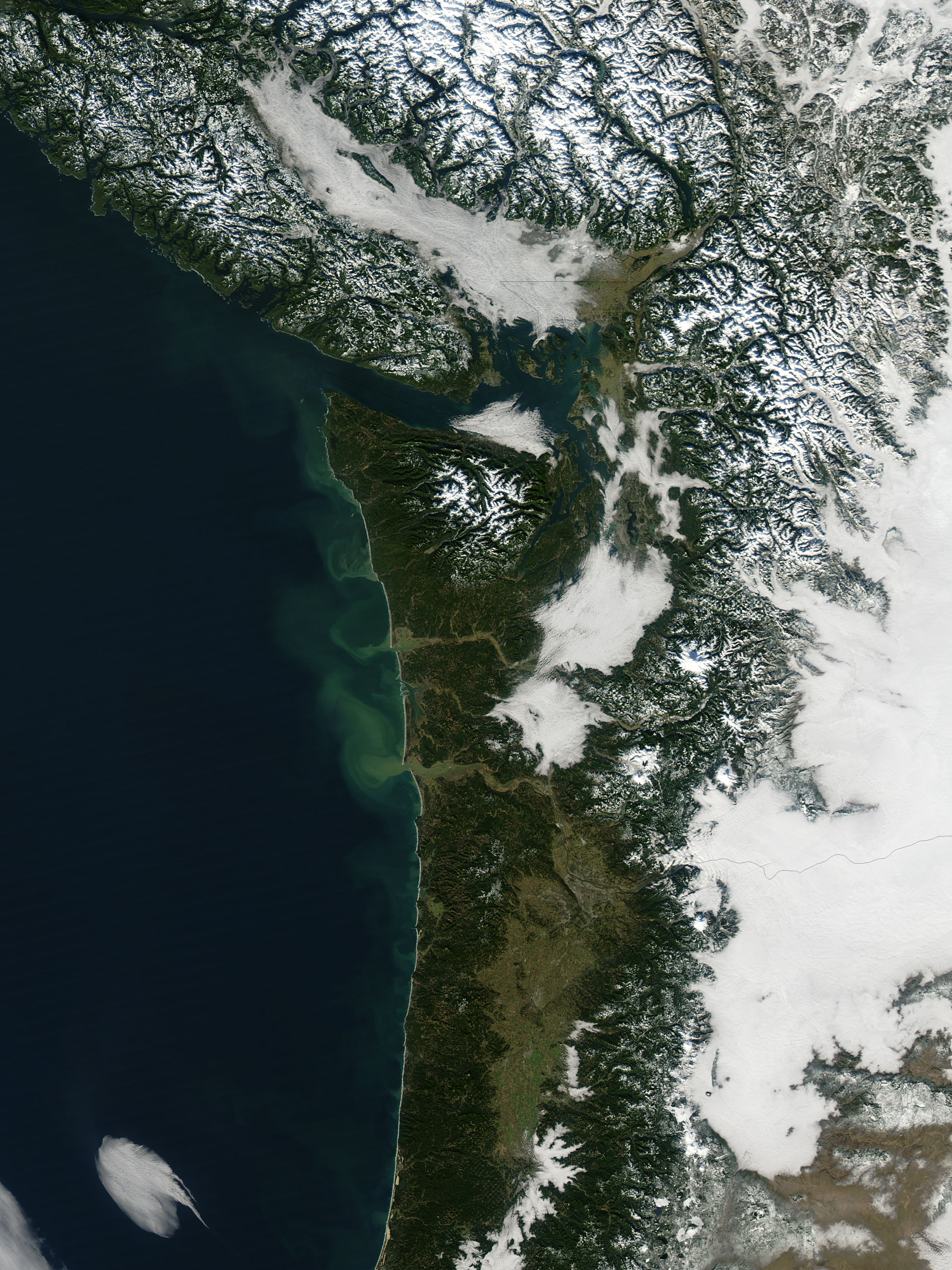 Sediment off the coast of Washington - related image preview