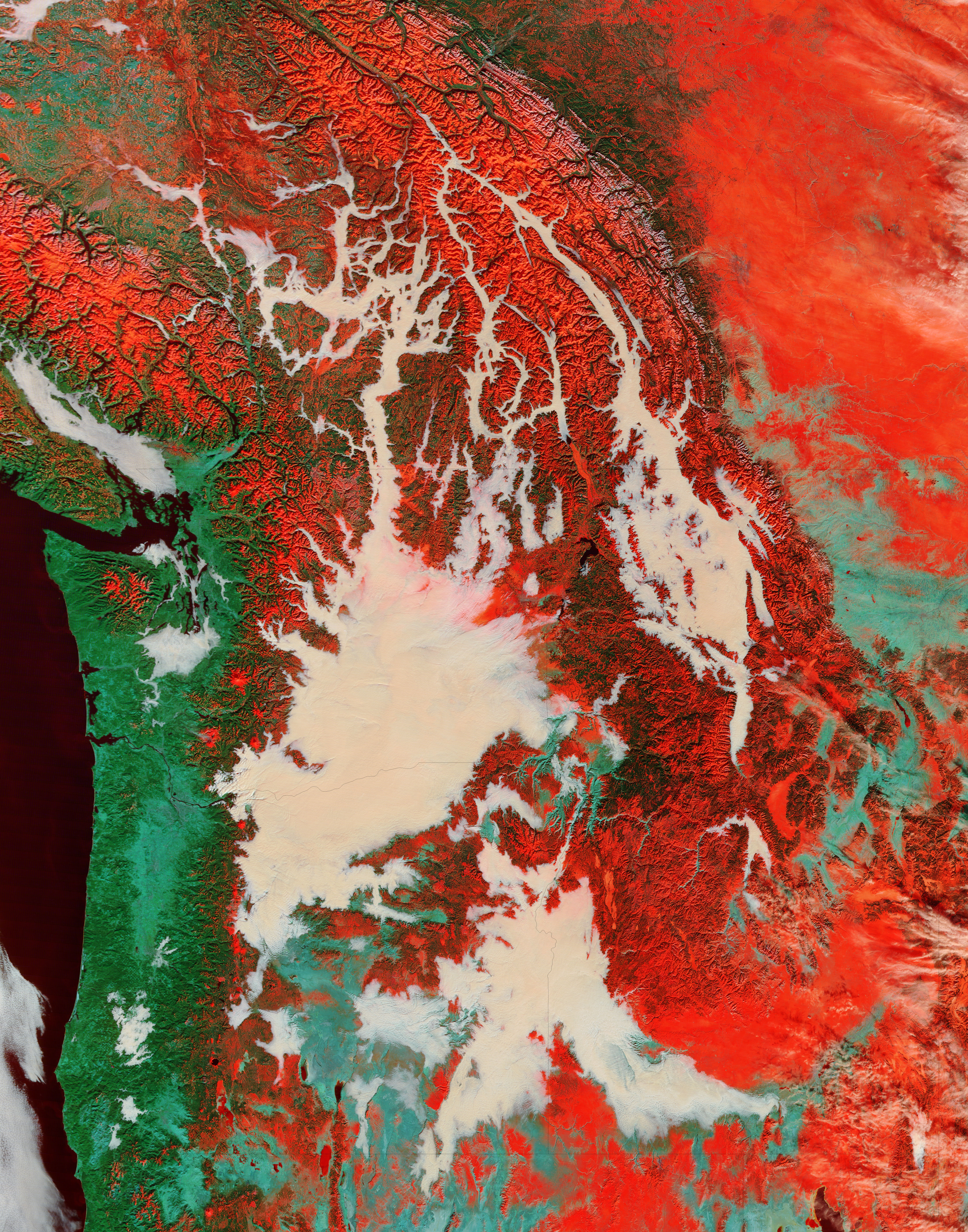 Fog and snow in the Pacific Northwest (false color) - related image preview