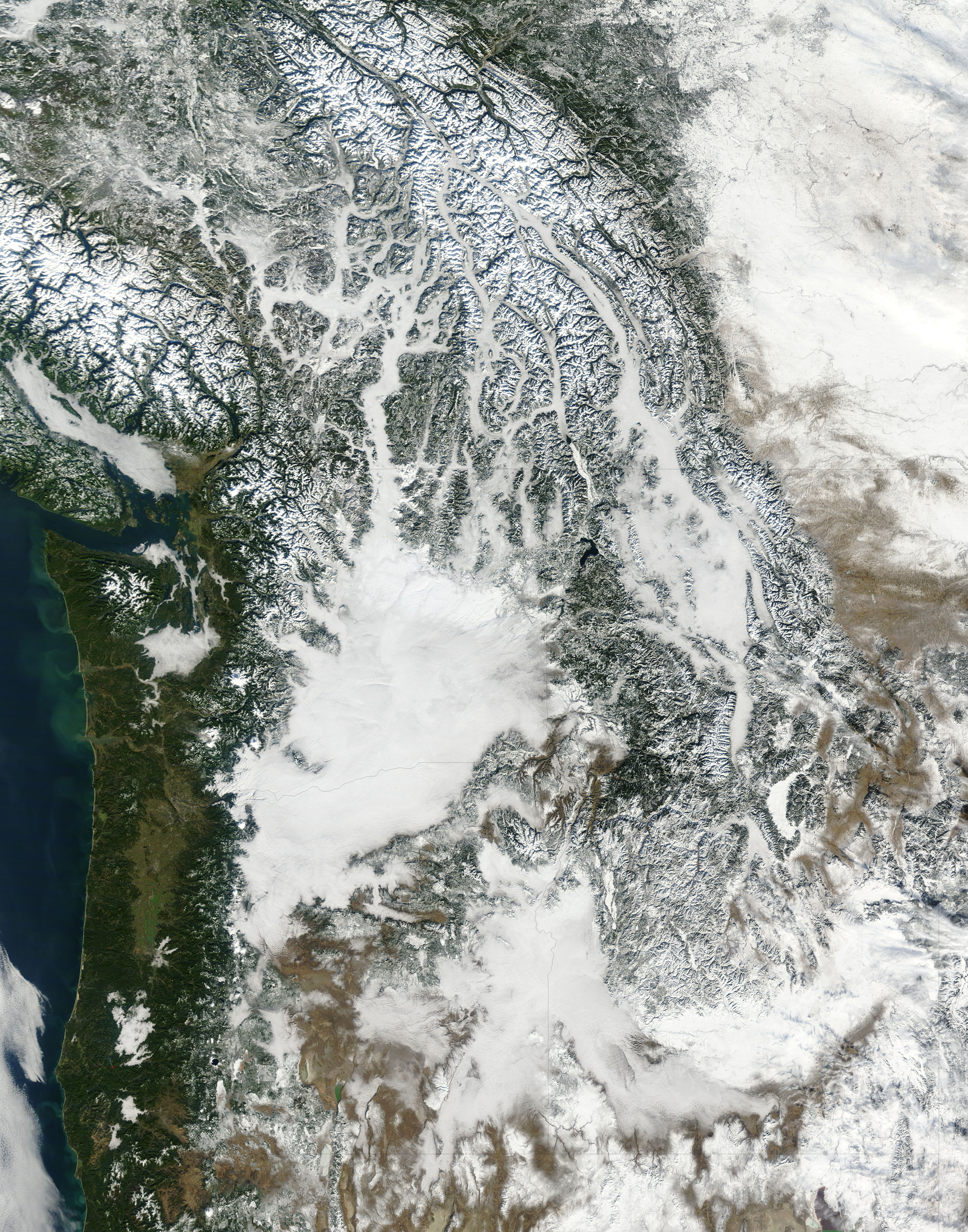 Fog and snow in the Pacific Northwest (true color) - related image preview