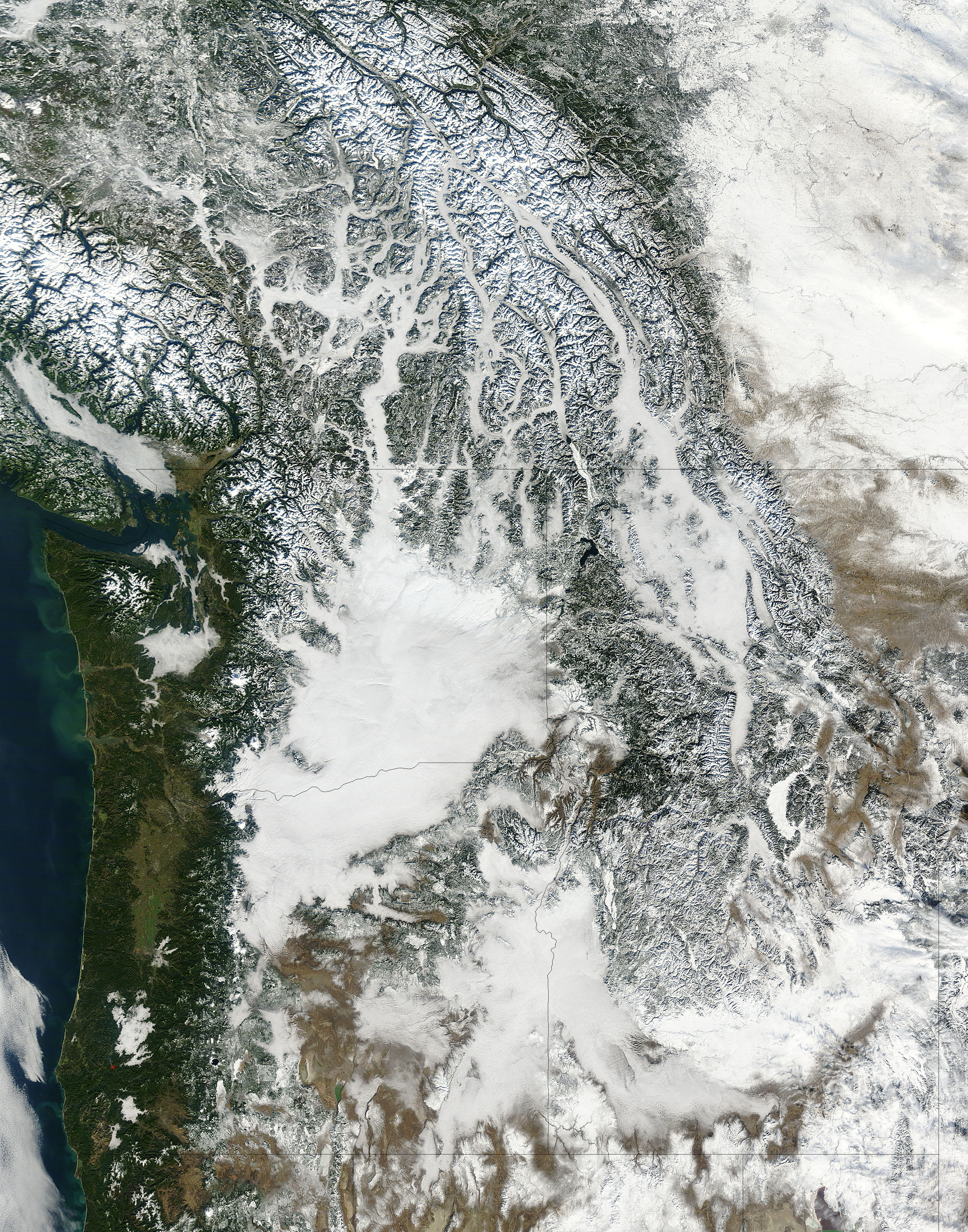 Fog and snow in the Pacific Northwest (true color) - related image preview