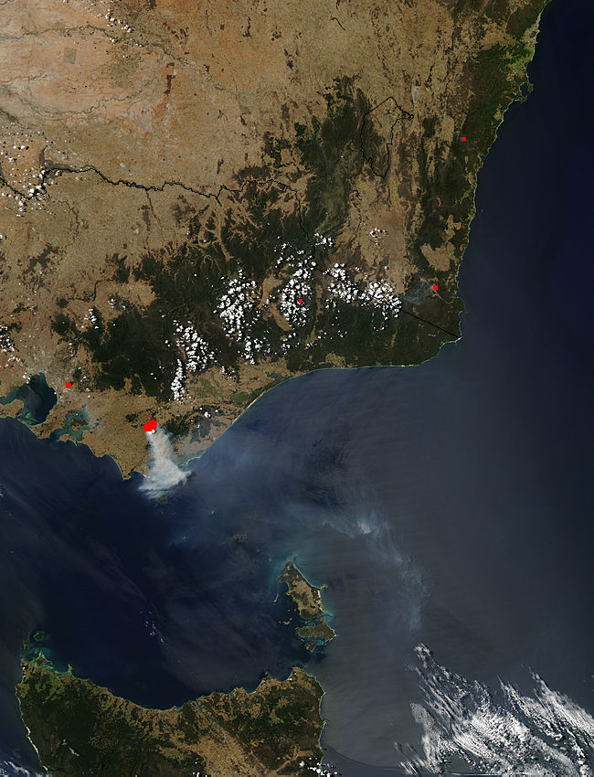 Fires in southeastern Australia - related image preview