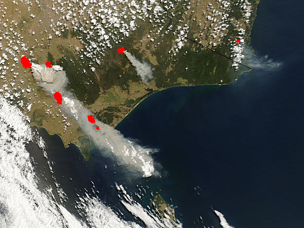 Fires in southeastern Australia - related image preview