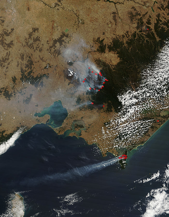 Fires in southeastern Australia - related image preview