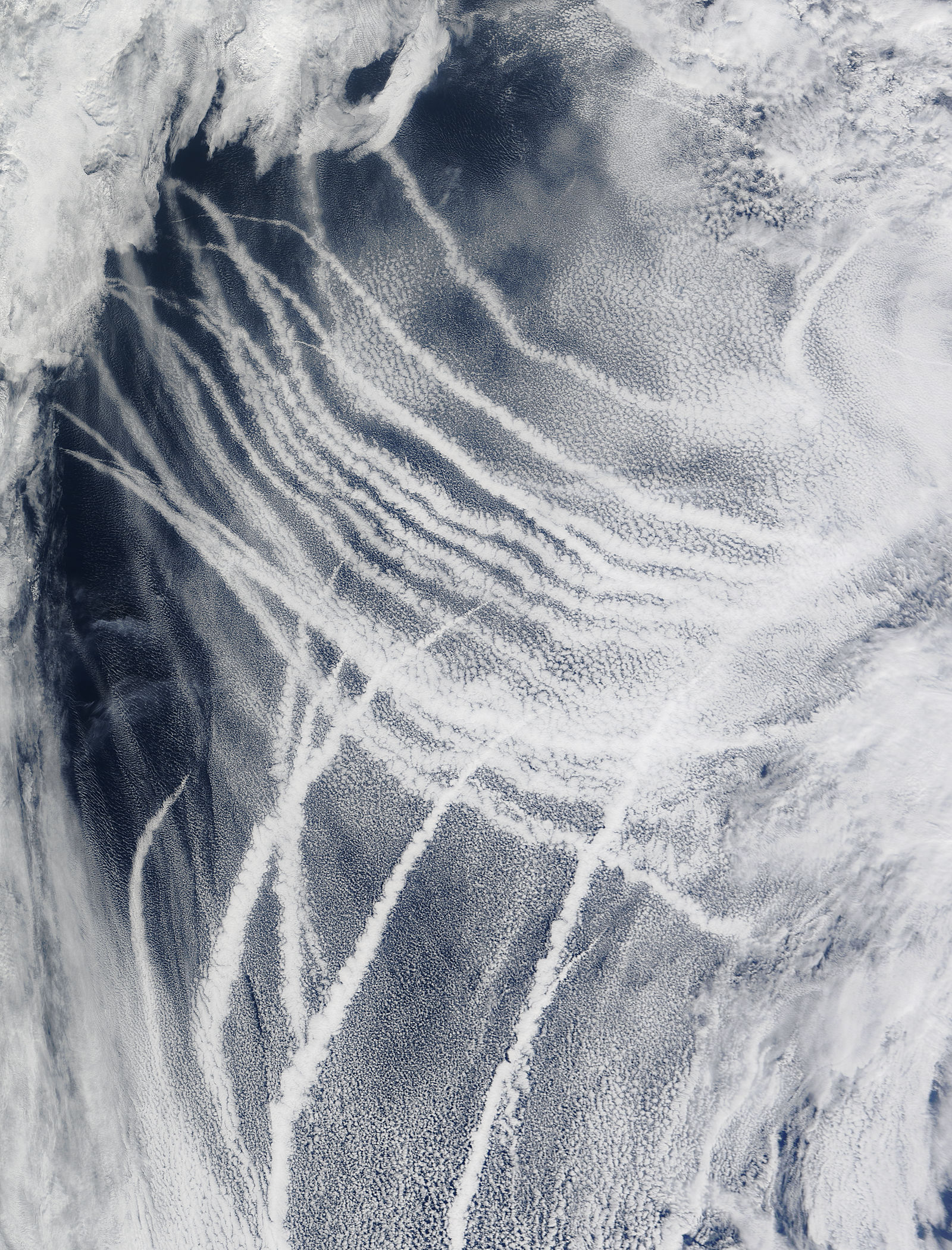 Ship tracks the northern Pacific Ocean - related image preview