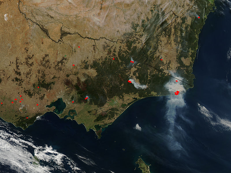 Fires in southeastern Australia - related image preview