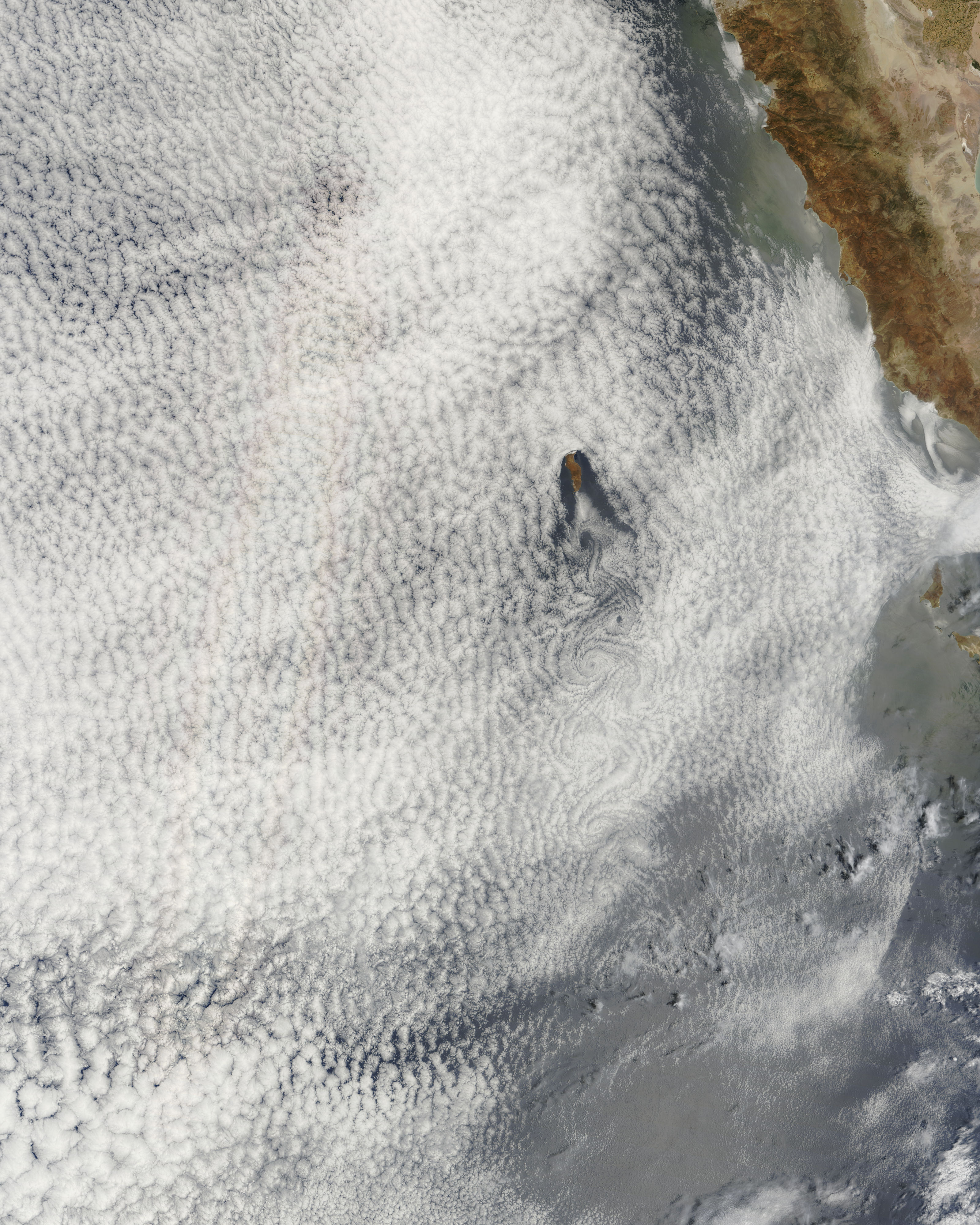 Cloud vortices and glory off Guadalupe Island, Mexico - related image preview