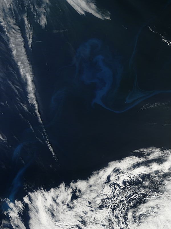 Phytoplankton bloom in the north Atlantic Ocean - related image preview