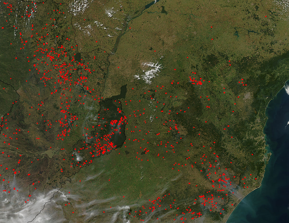 Fires in southern Brazil - related image preview