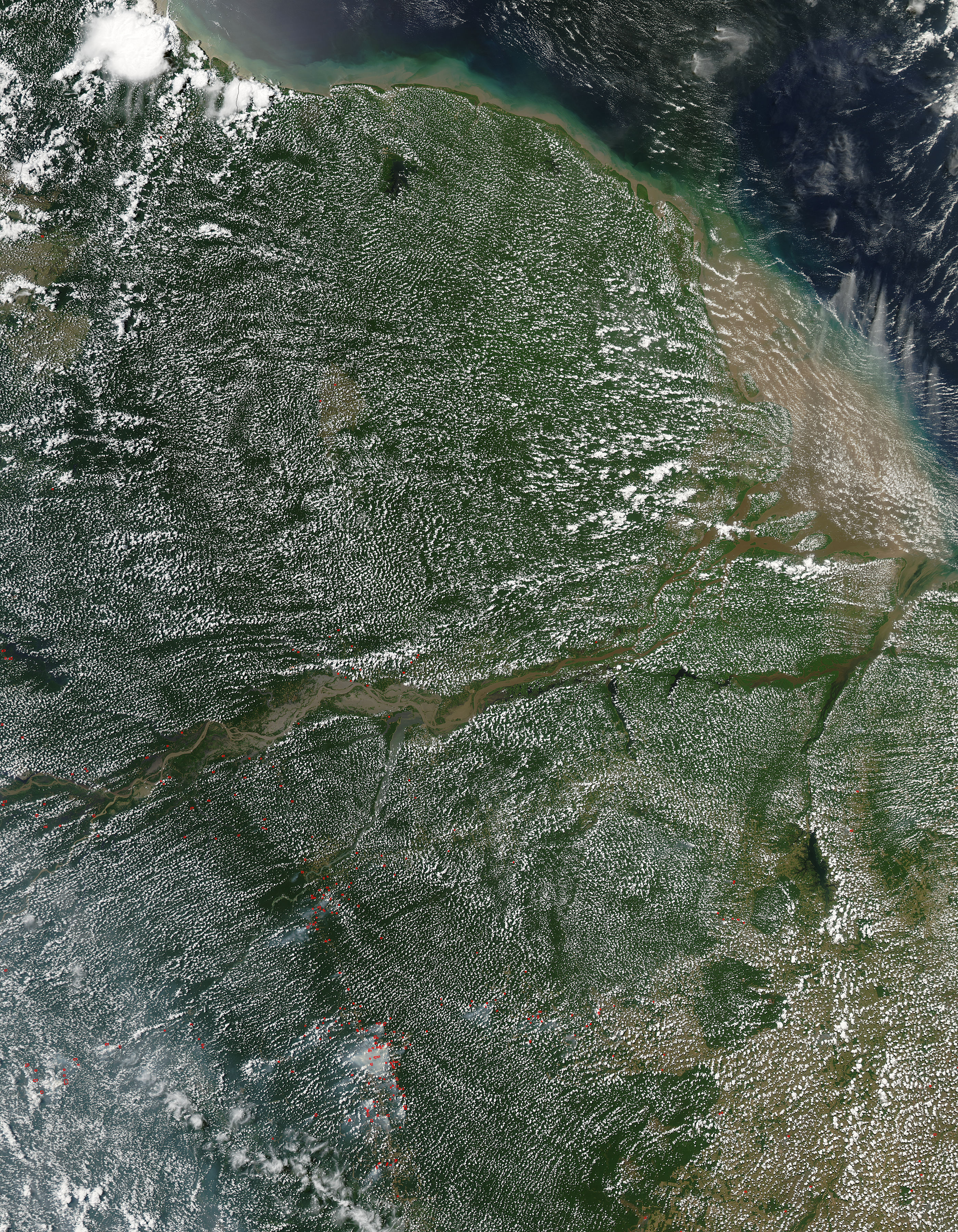 Afternoon clouds over the Amazon Basin - related image preview
