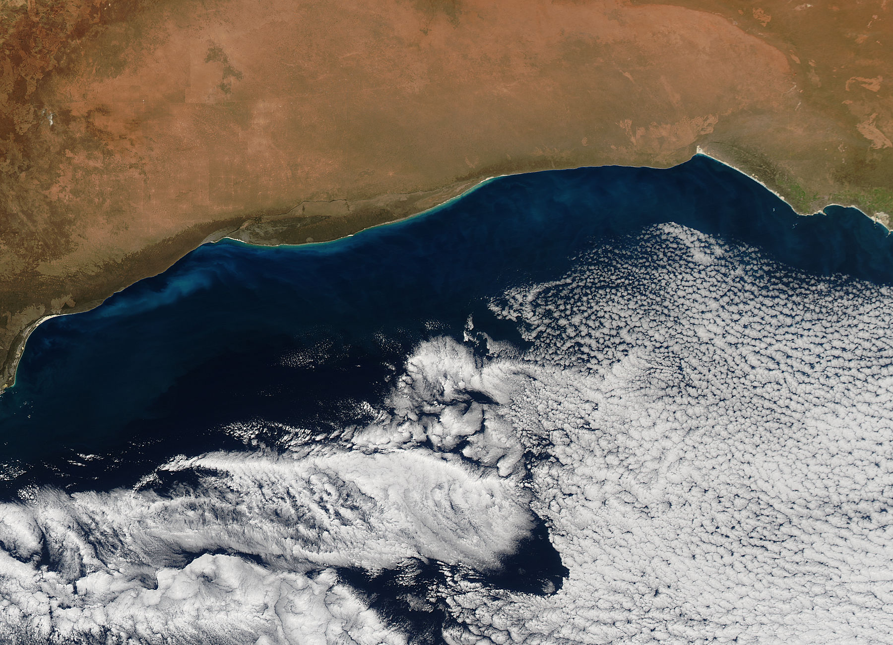 Phytoplankton bloom in the Great Australian Bight - related image preview