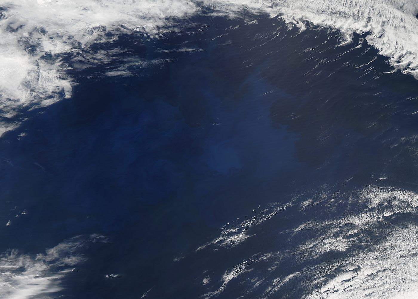 Phytoplankton bloom in the southern Pacific Ocean, off Chile - related image preview