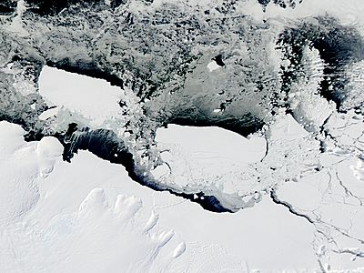 Mertz Glacier tongue and Iceberg B9B (after collision) - related image preview