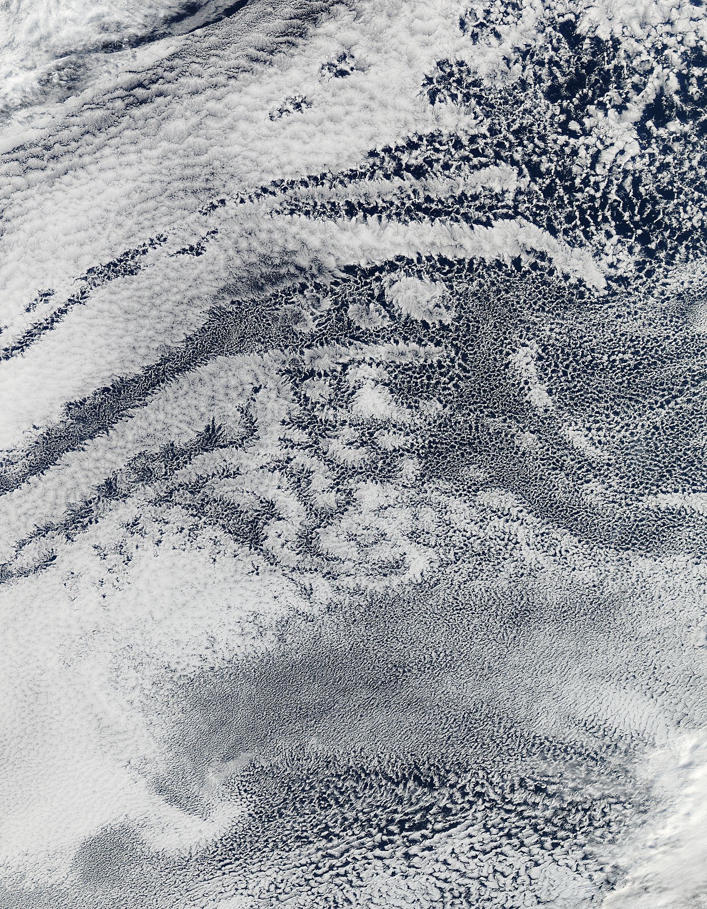 Open-cell and closed-cell clouds off Peru, Pacific Ocean - related image preview