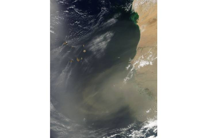 Dust storm off West Africa