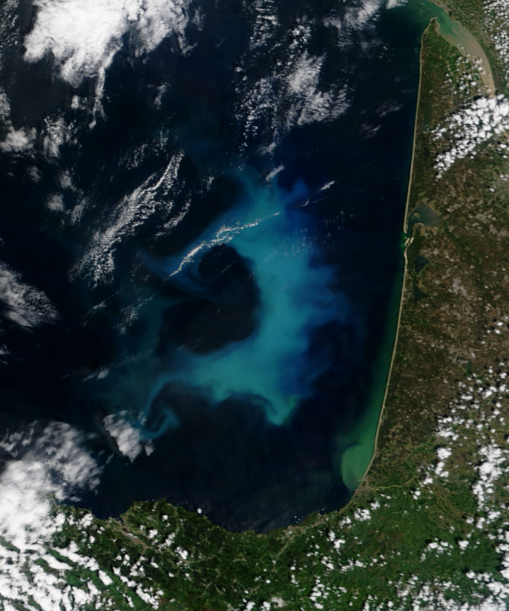 Phytoplankton bloom in the Bay of Biscay - related image preview