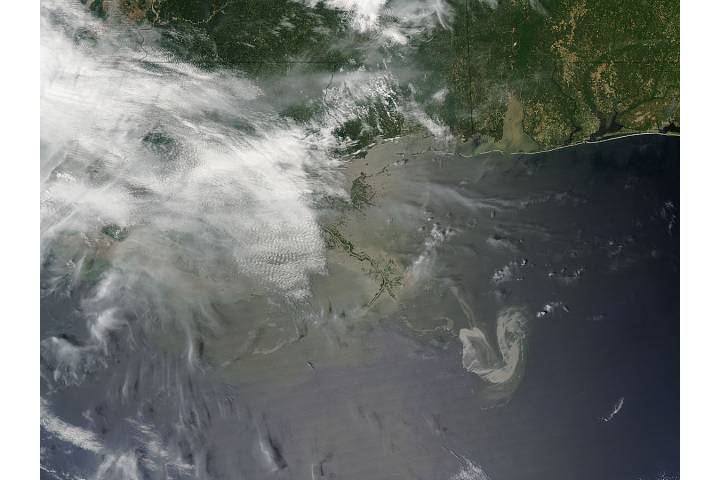 Oil slick in the Gulf of Mexico