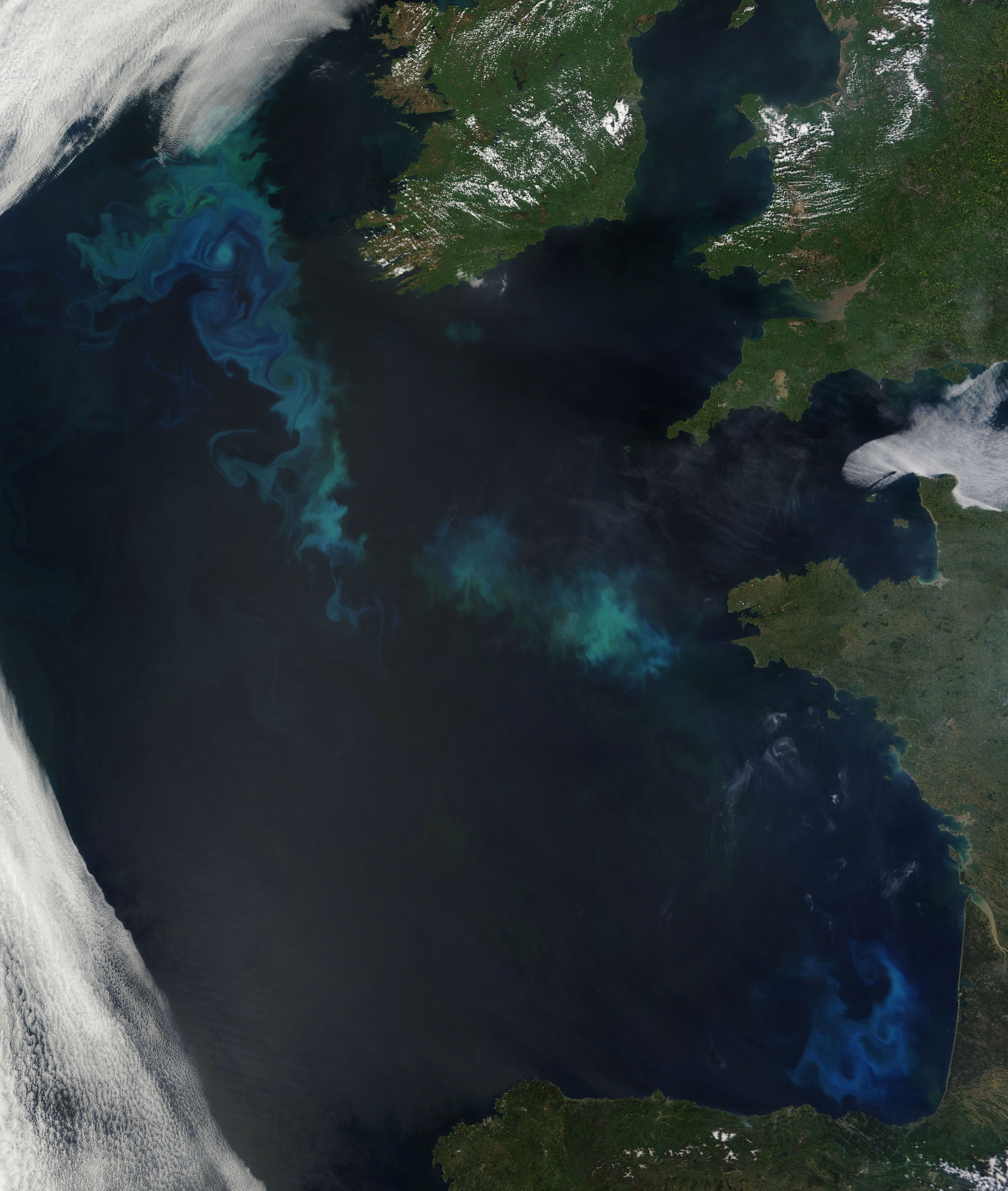 Phytoplankton blooms in the North Atlantic - related image preview